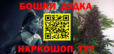 прущие грибы Новодвинск