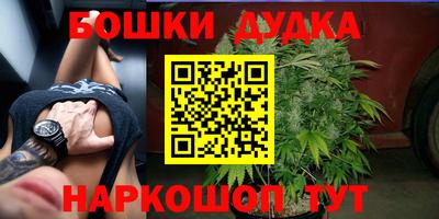 прущие грибы Новодвинск