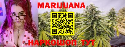 прущие грибы Новодвинск
