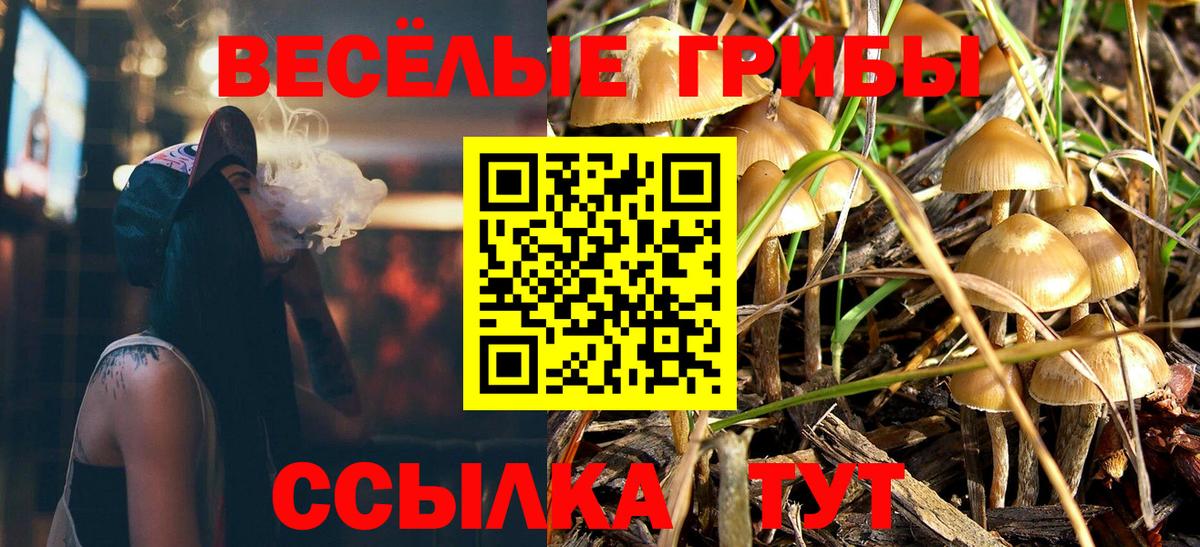 Саяногорск  Псилоцибиновые грибы Psilocybe  Псилоцибиновые грибы Magic Shrooms  Вход с VPN 